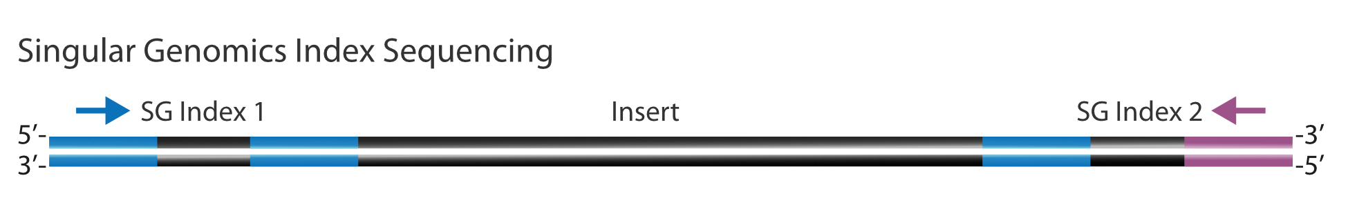 SG-Index-Seq.png